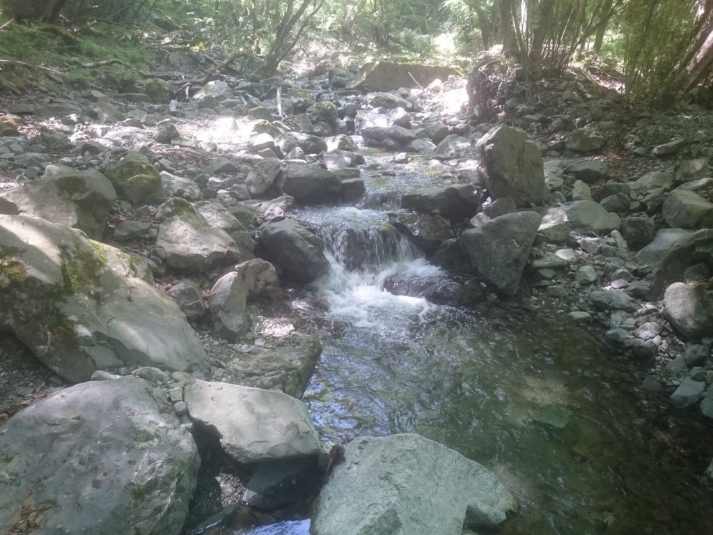 f:id:akiranngo:20180615030002j:plain