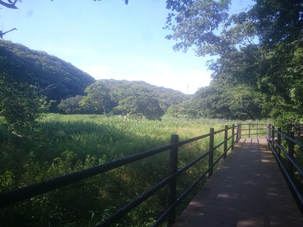 f:id:akiranngo:20180617203433j:plain
