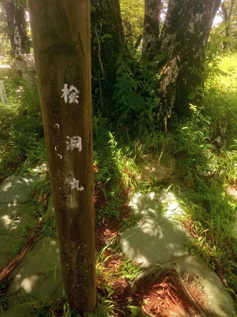 f:id:akiranngo:20180814210507j:plain