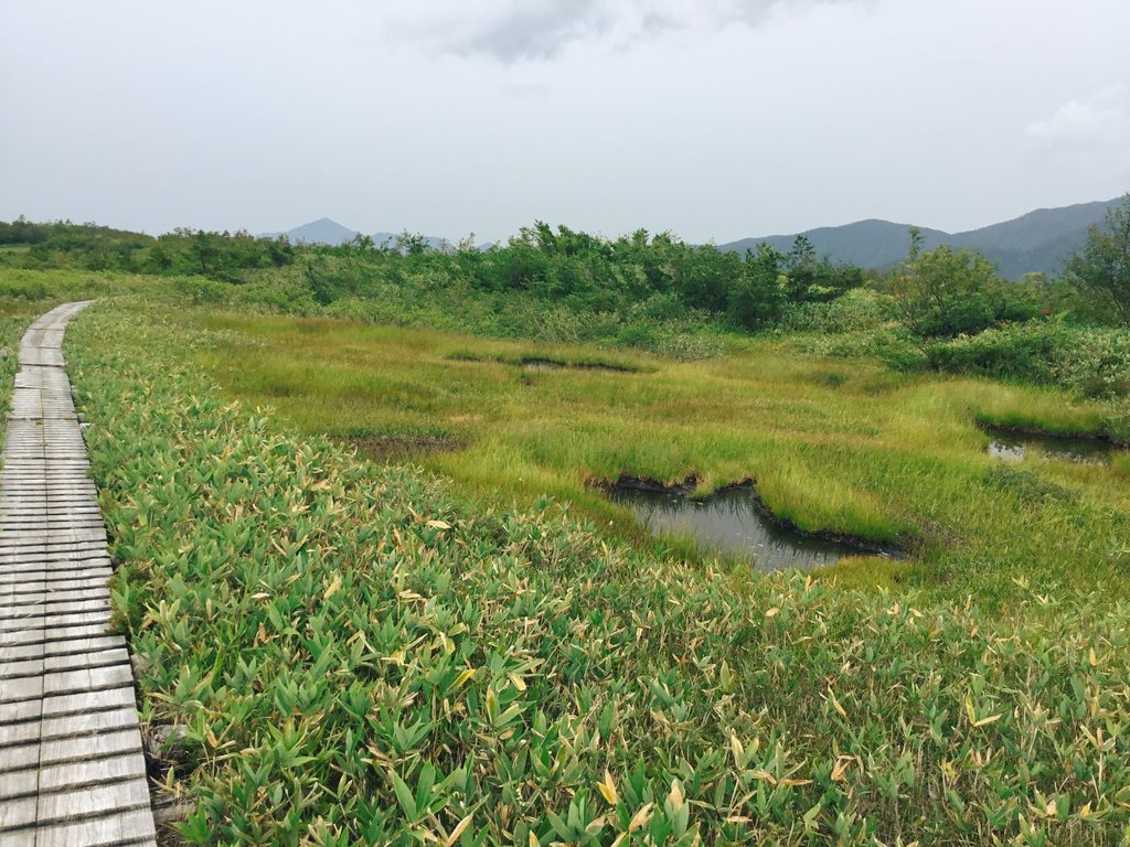 f:id:akiranngo:20180830172051j:plain f:id:akiranngo:20180830172051j:plain