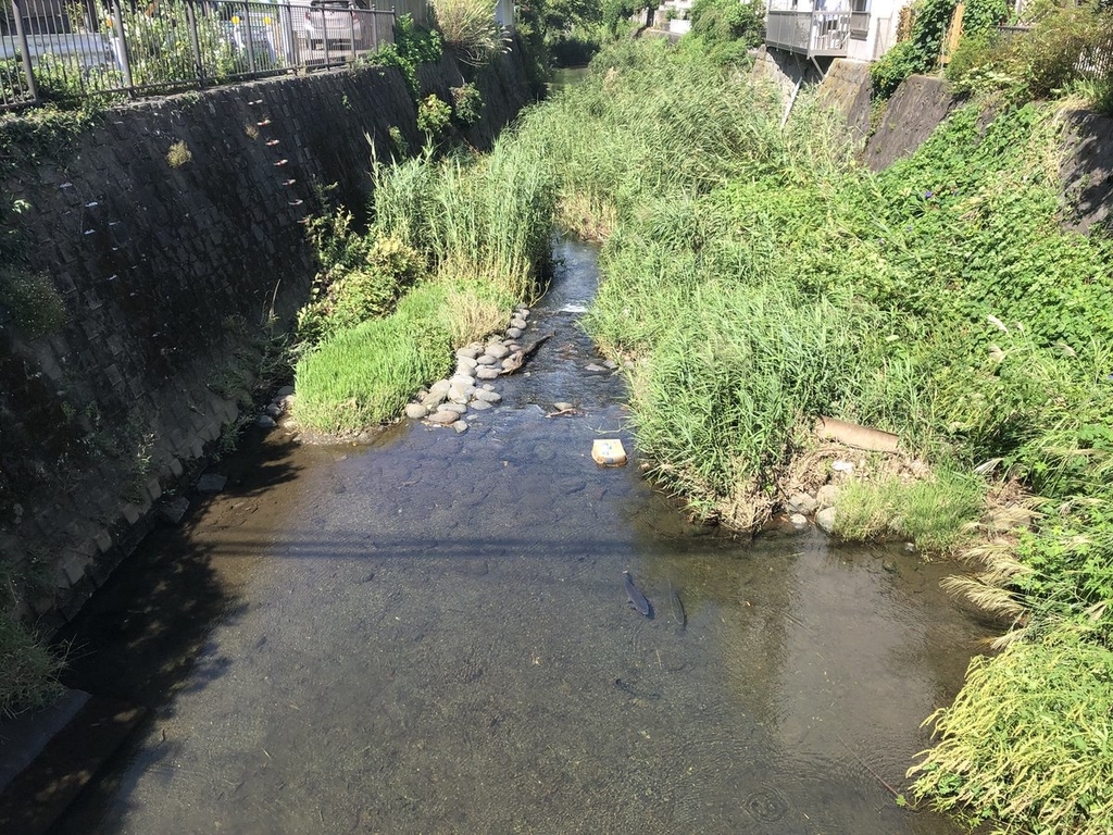 f:id:akiranngo:20180908161628j:plain