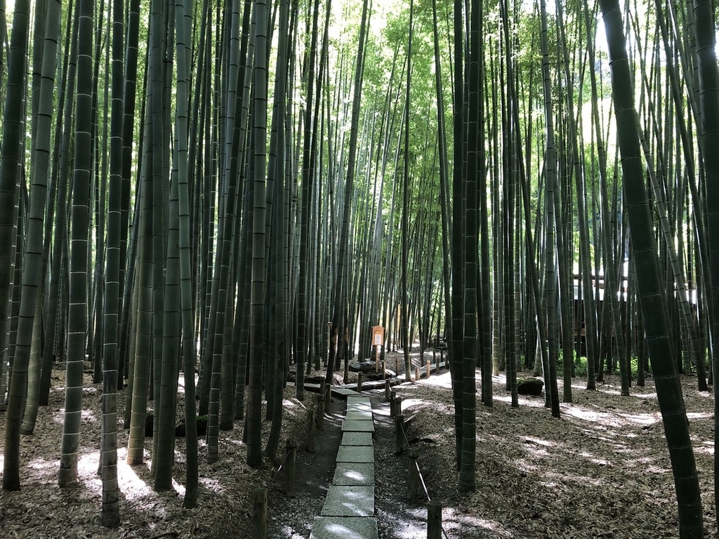 f:id:akiranngo:20180908162451j:plain