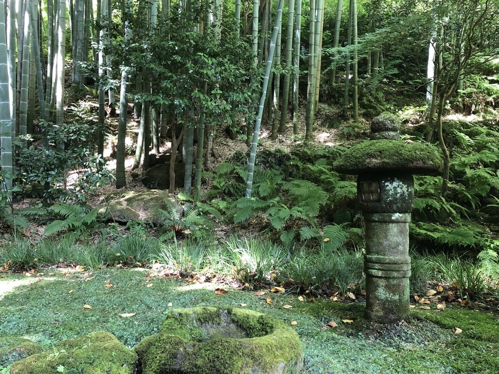 f:id:akiranngo:20180908163643j:plain