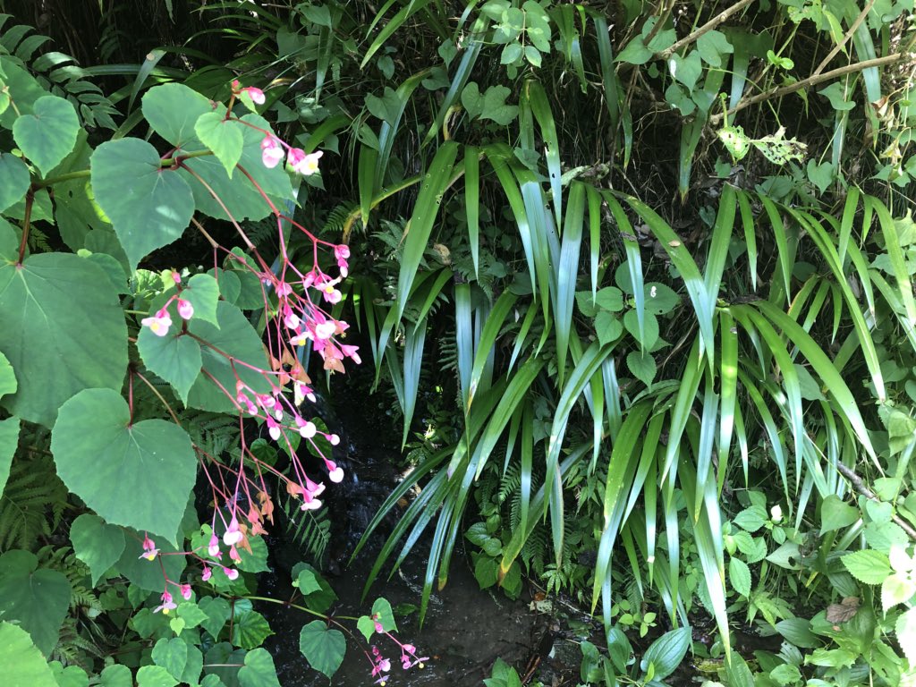 f:id:akiranngo:20180908163829j:plain