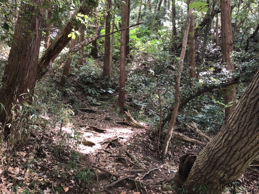 f:id:akiranngo:20180908165906j:plain