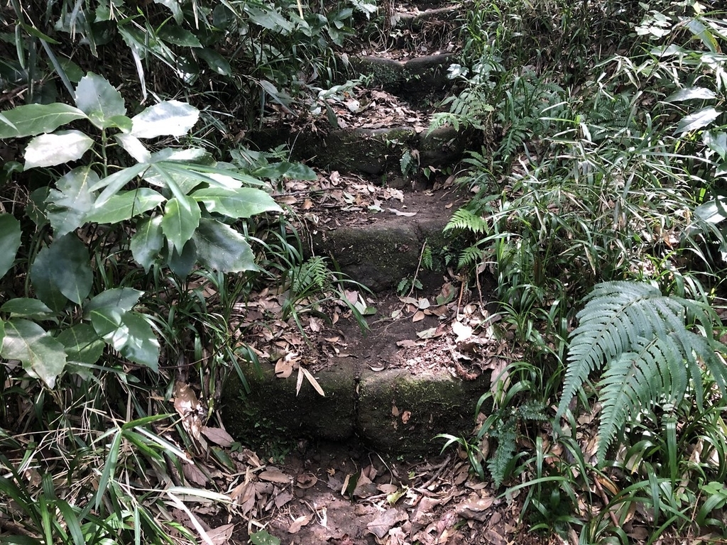 f:id:akiranngo:20180908165917j:plain