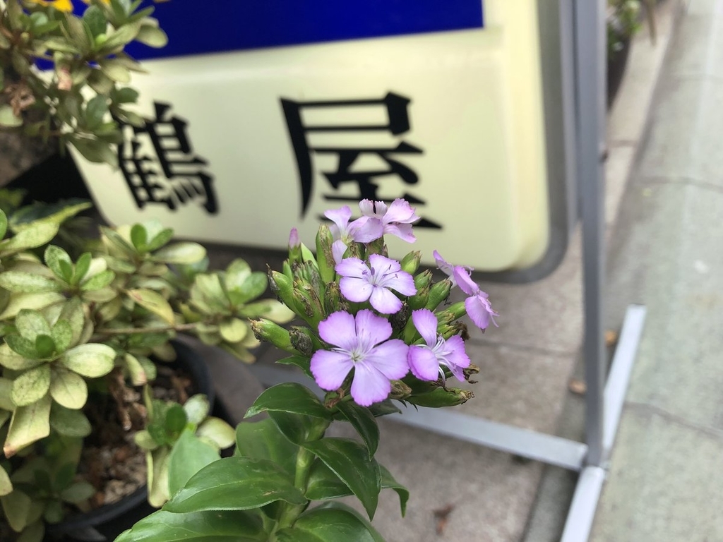 f:id:akiranngo:20180911170745j:plain
