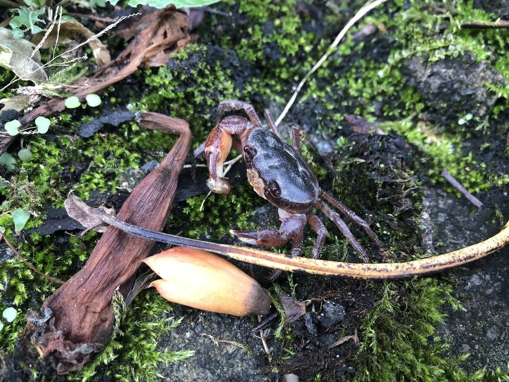 f:id:akiranngo:20180913141935j:plain f:id:akiranngo:20180913141935j:plain