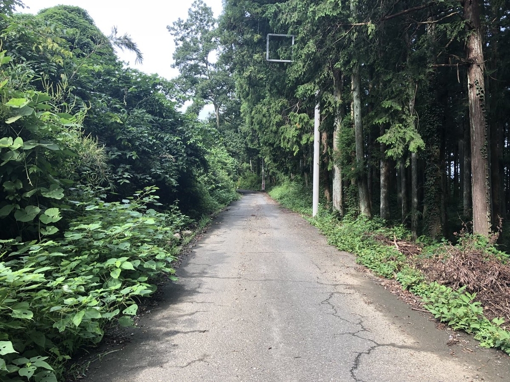 f:id:akiranngo:20180913141942j:plain f:id:akiranngo:20180913141942j:plain