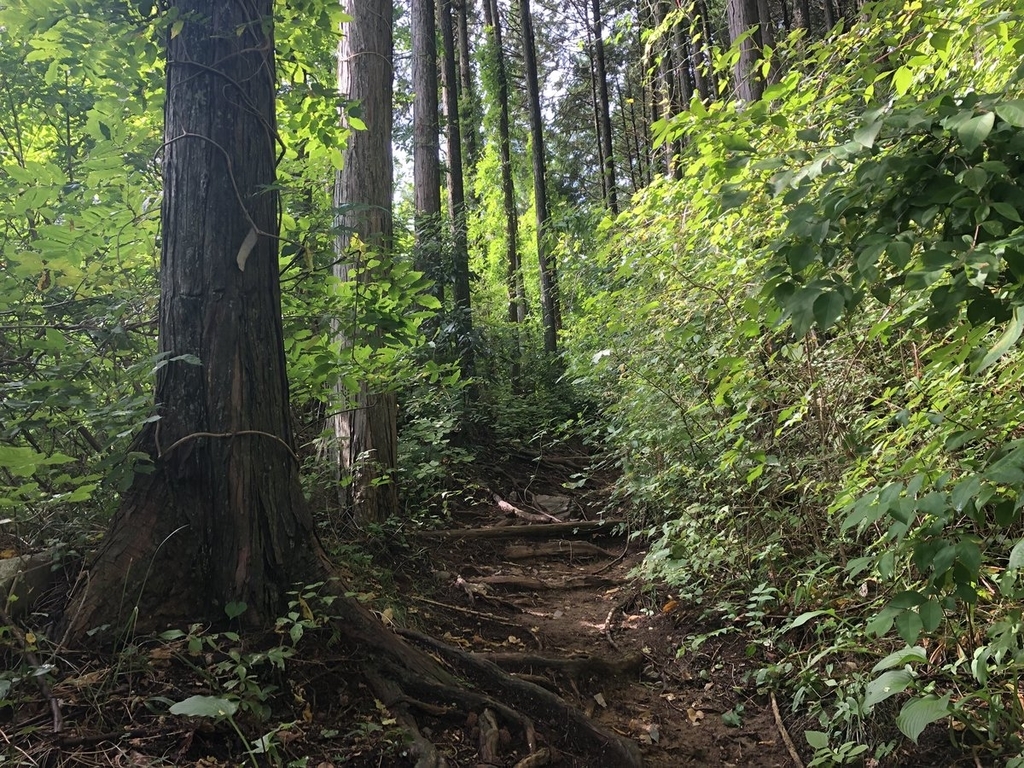 f:id:akiranngo:20180913142004j:plain f:id:akiranngo:20180913142004j:plain