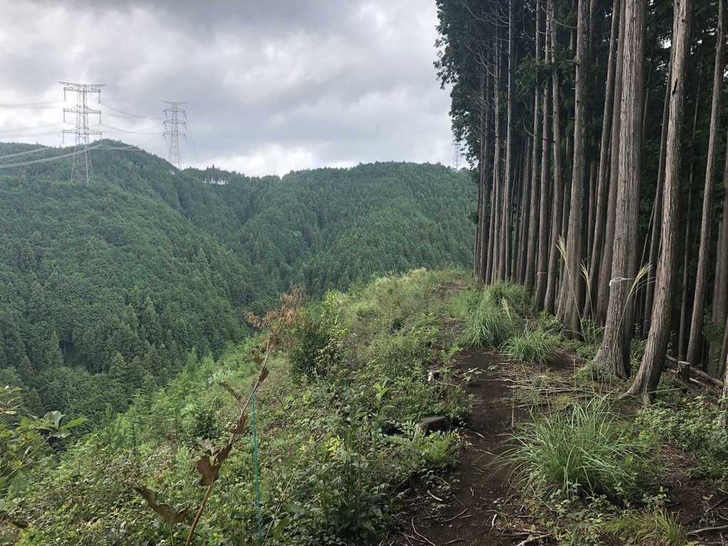 f:id:akiranngo:20180913142210j:plain f:id:akiranngo:20180913142210j:plain