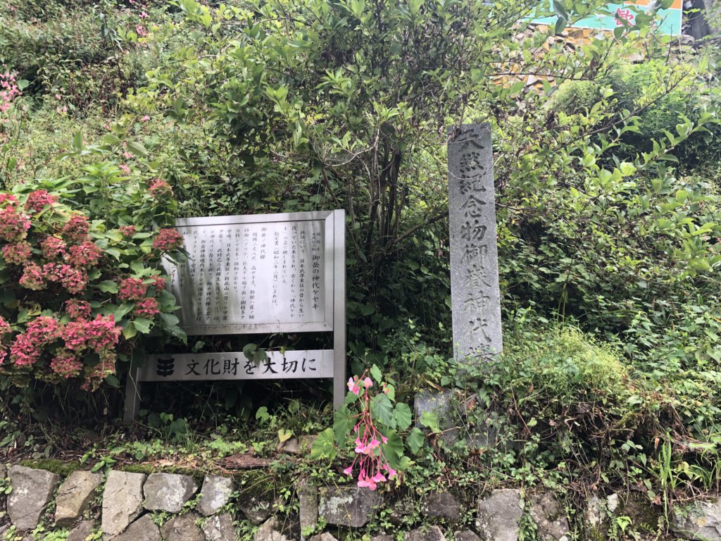 f:id:akiranngo:20180913174640j:plain f:id:akiranngo:20180913174640j:plain