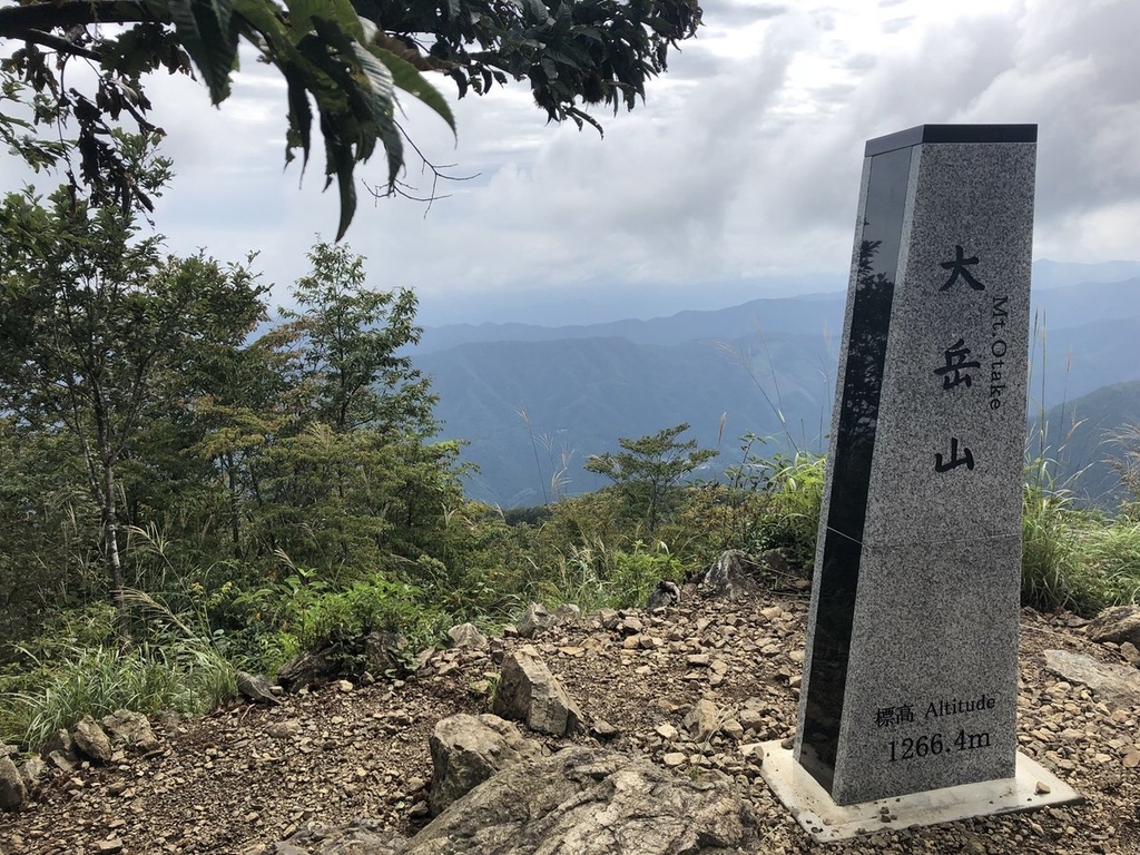 f:id:akiranngo:20180915160502j:plain