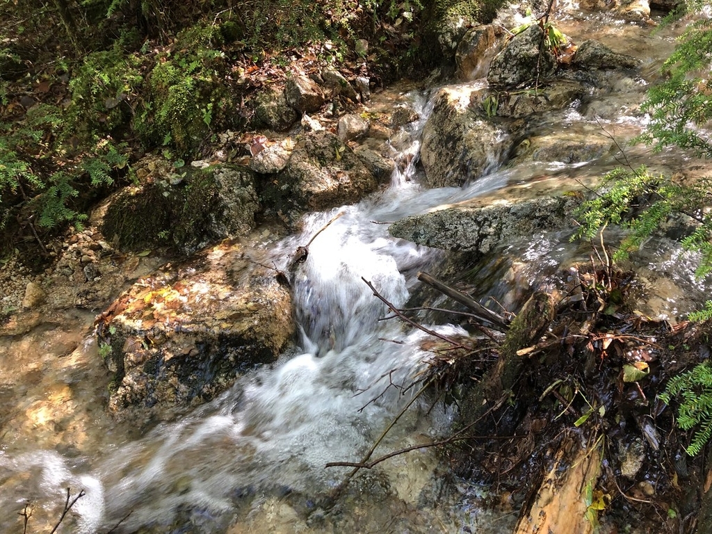 f:id:akiranngo:20180917173837j:plain f:id:akiranngo:20180917173837j:plain