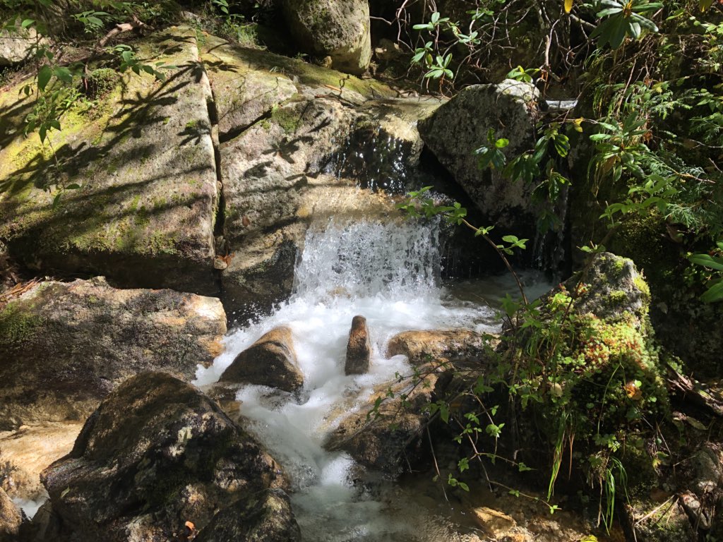 f:id:akiranngo:20180917173851j:plain f:id:akiranngo:20180917173851j:plain