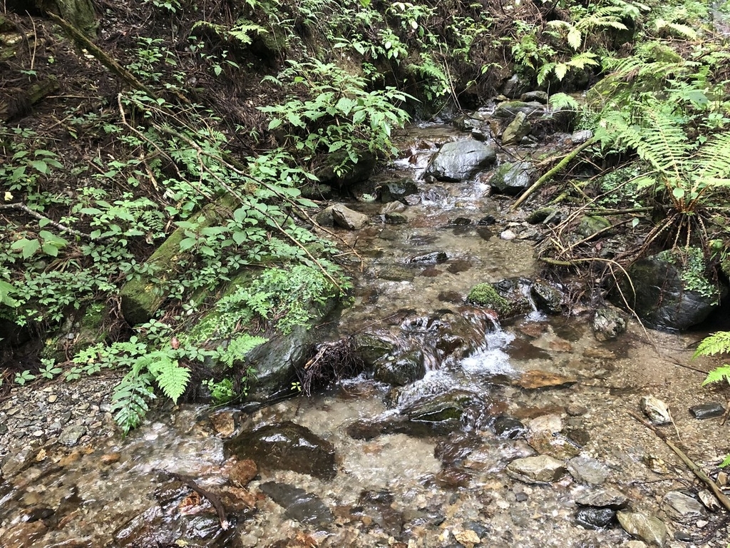 f:id:akiranngo:20180925093145j:plain f:id:akiranngo:20180925093145j:plain