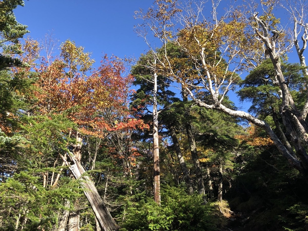 f:id:akiranngo:20180929133914j:plain