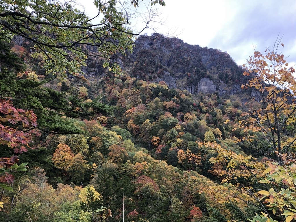 f:id:akiranngo:20181010070056j:plain