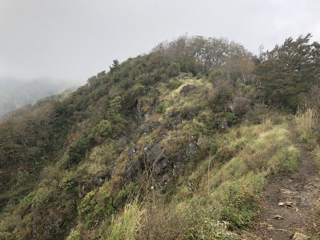 f:id:akiranngo:20181018152702j:plain