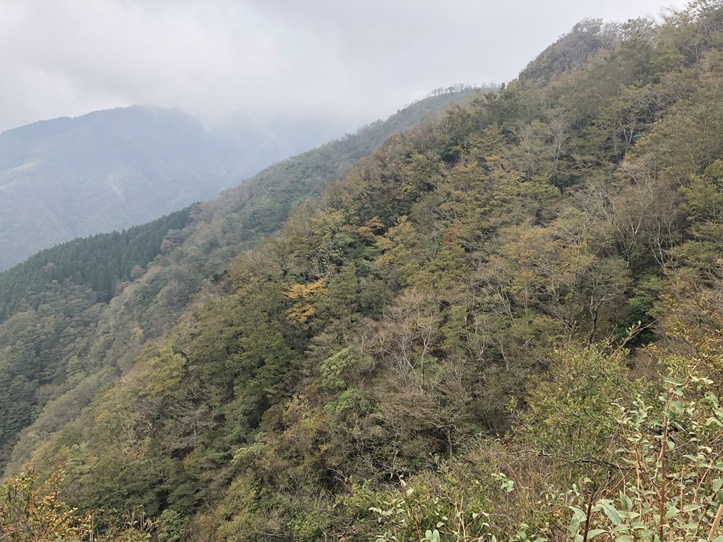 f:id:akiranngo:20181018154728j:plain