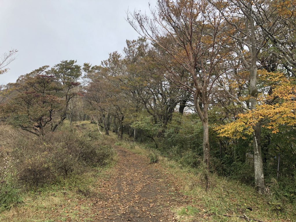 f:id:akiranngo:20181018160626j:plain