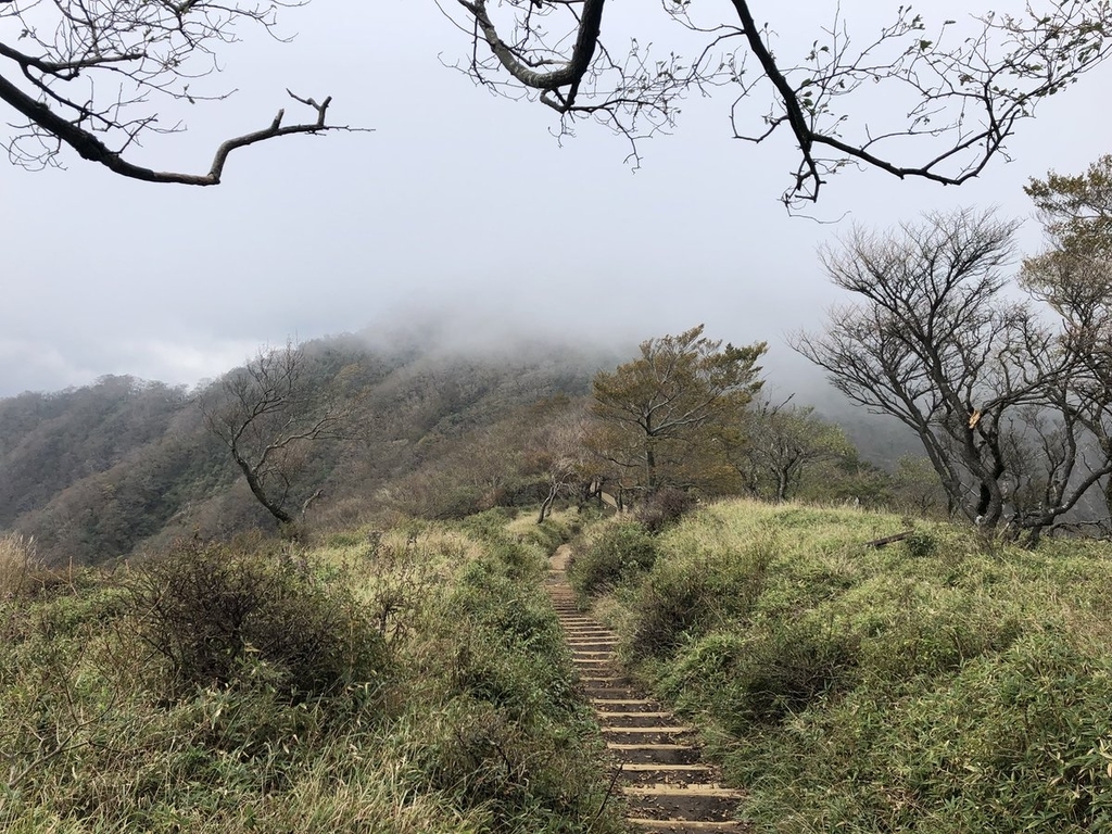 f:id:akiranngo:20181018160959j:plain