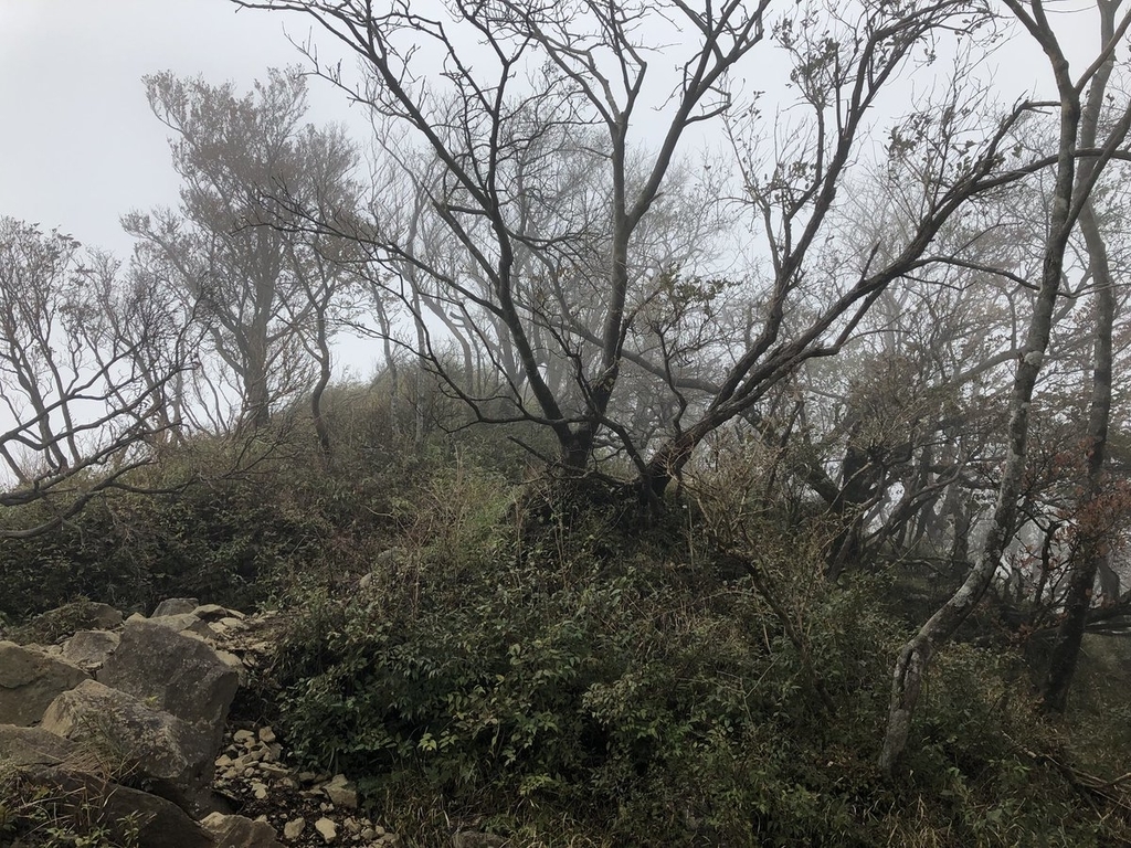 f:id:akiranngo:20181018161121j:plain