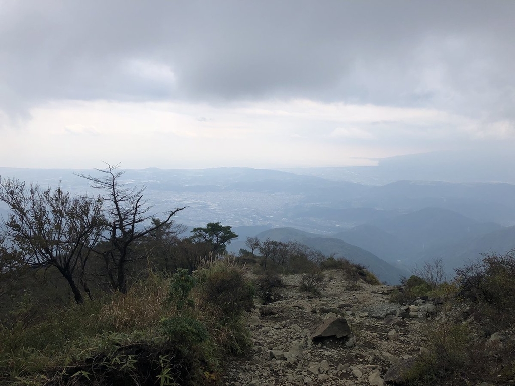 f:id:akiranngo:20181018162520j:plain