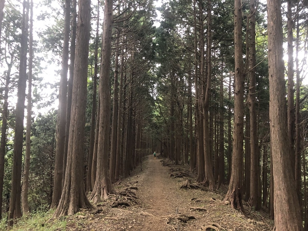 f:id:akiranngo:20181018163911j:plain