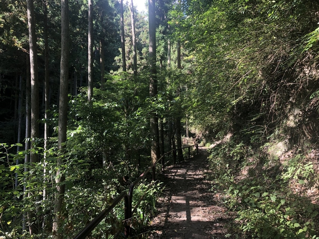 f:id:akiranngo:20181025233124j:plain f:id:akiranngo:20181025233124j:plain