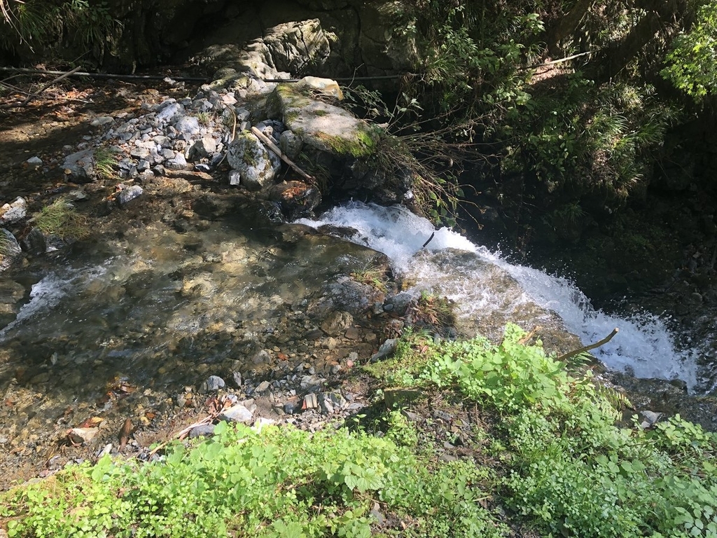 f:id:akiranngo:20181026003910j:plain f:id:akiranngo:20181026003910j:plain