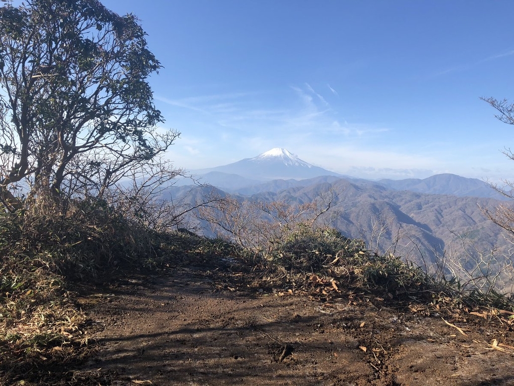 f:id:akiranngo:20181202125711j:plain