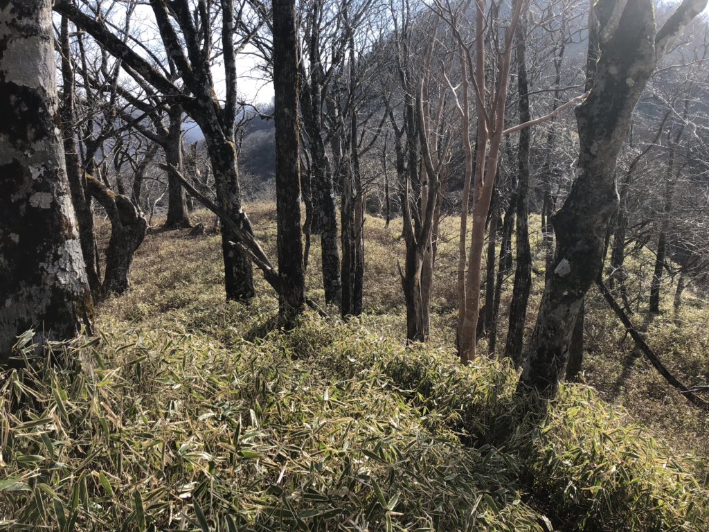 f:id:akiranngo:20181202125957j:plain
