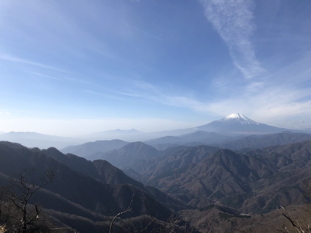 f:id:akiranngo:20181202130238j:plain