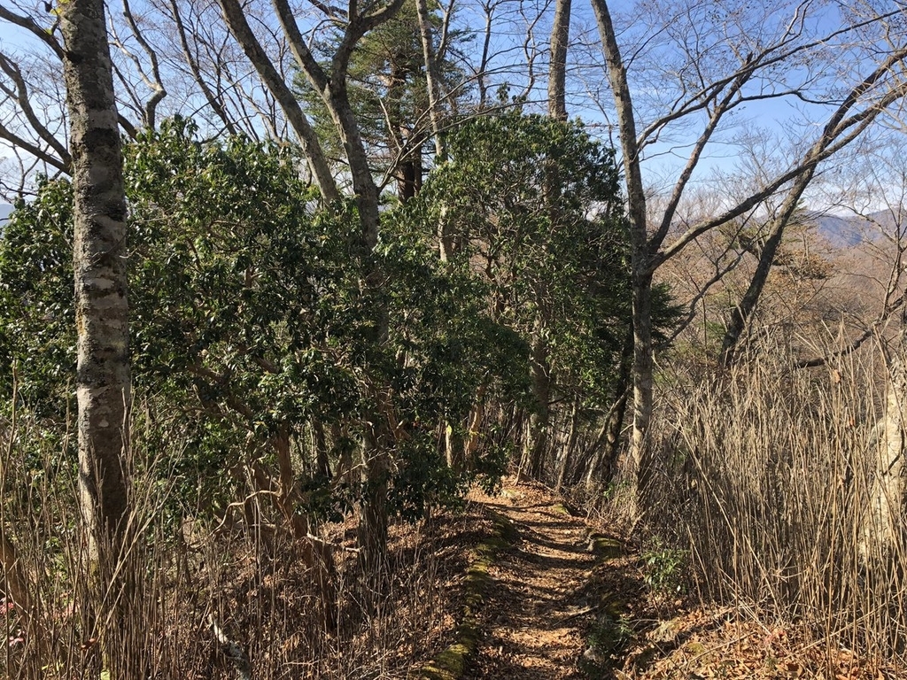 f:id:akiranngo:20181202130650j:plain