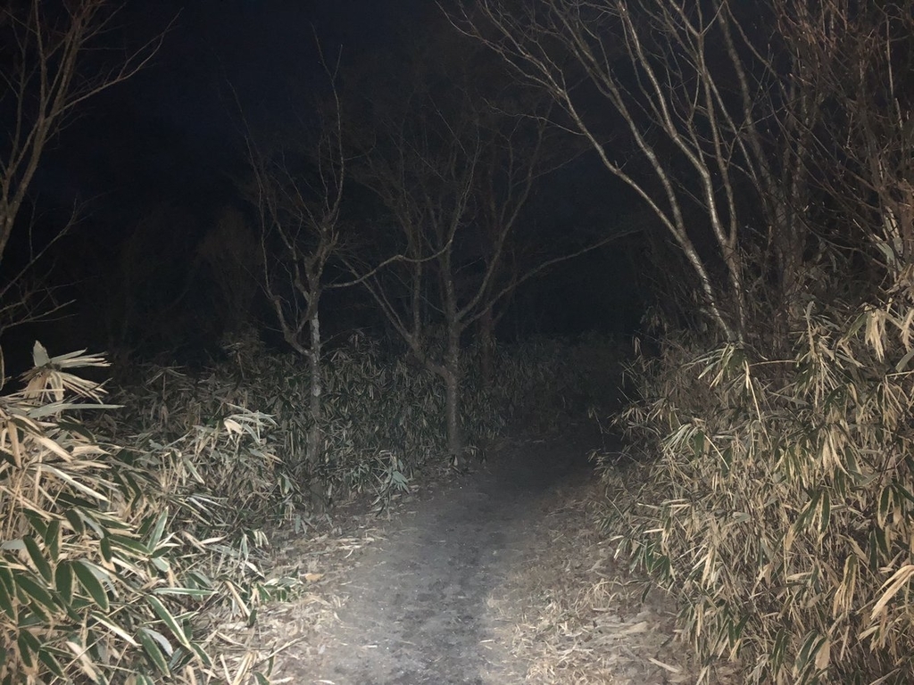 f:id:akiranngo:20181215204852j:plain f:id:akiranngo:20181215204852j:plain