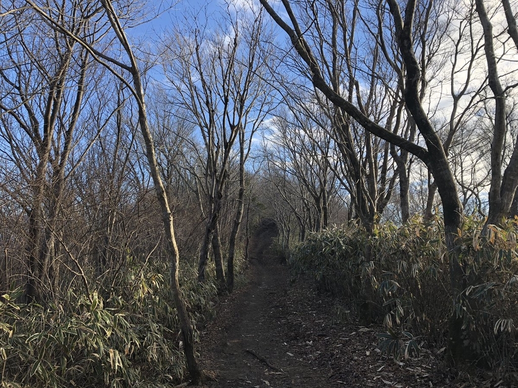 f:id:akiranngo:20181215221811j:plain f:id:akiranngo:20181215221811j:plain