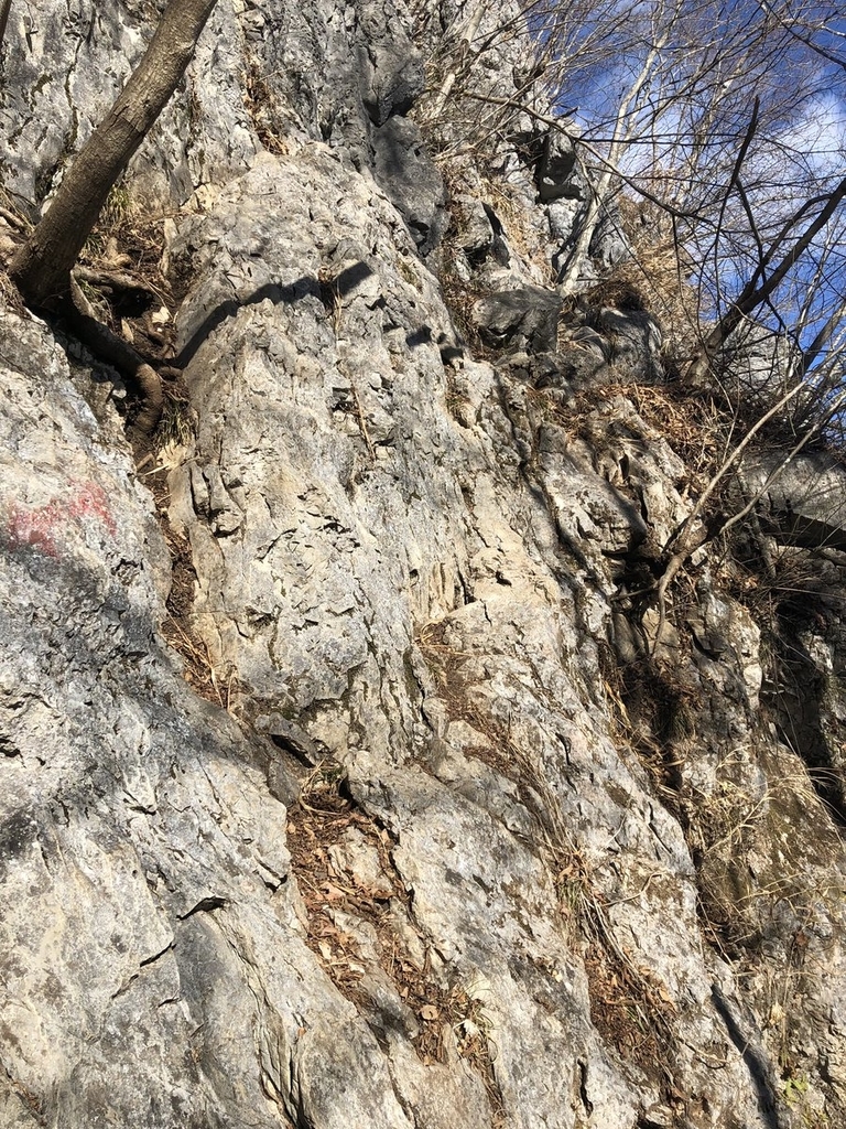 f:id:akiranngo:20190103205251j:plain