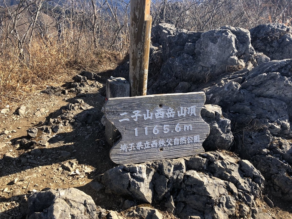 f:id:akiranngo:20190103205441j:plain