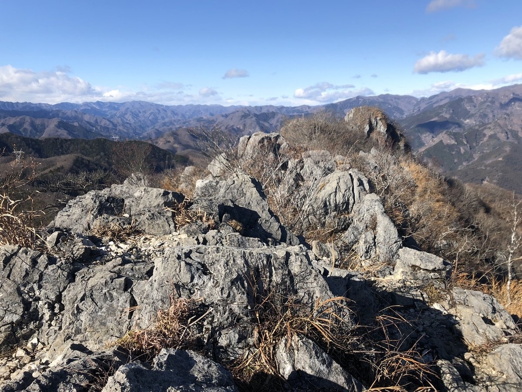 f:id:akiranngo:20190103205547j:plain