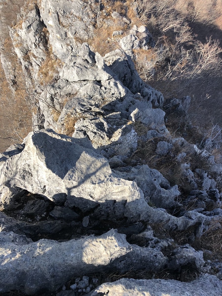 f:id:akiranngo:20190103205644j:plain