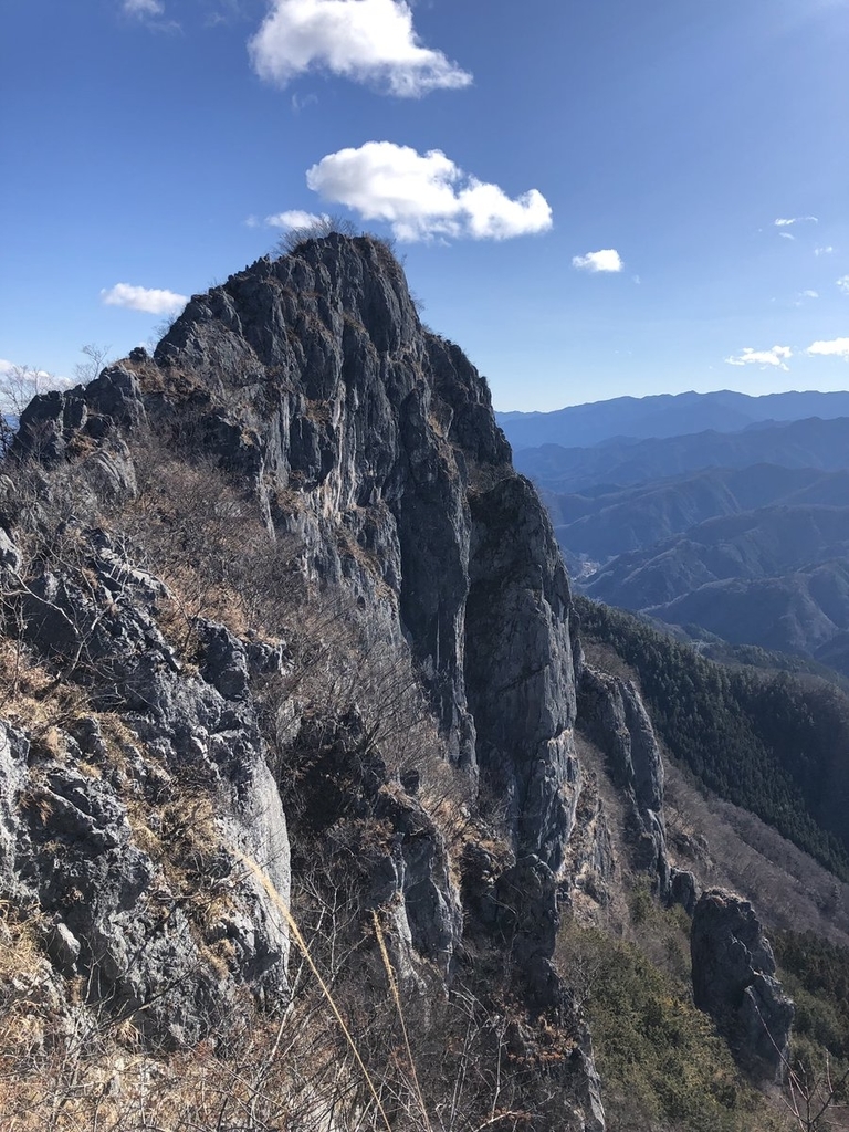 f:id:akiranngo:20190103205838j:plain