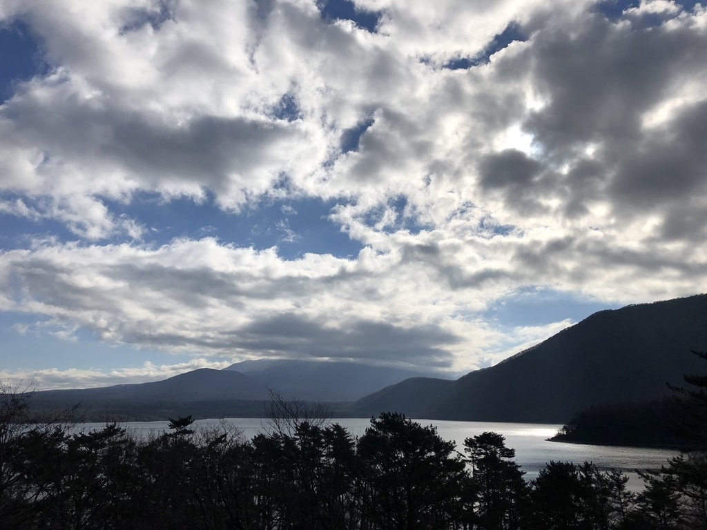 f:id:akiranngo:20190107141157j:plain
