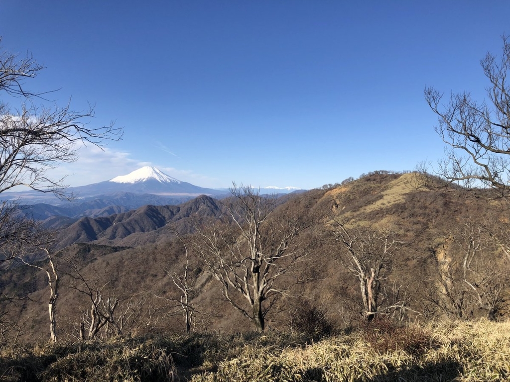 f:id:akiranngo:20190113013328j:plain f:id:akiranngo:20190113013328j:plain
