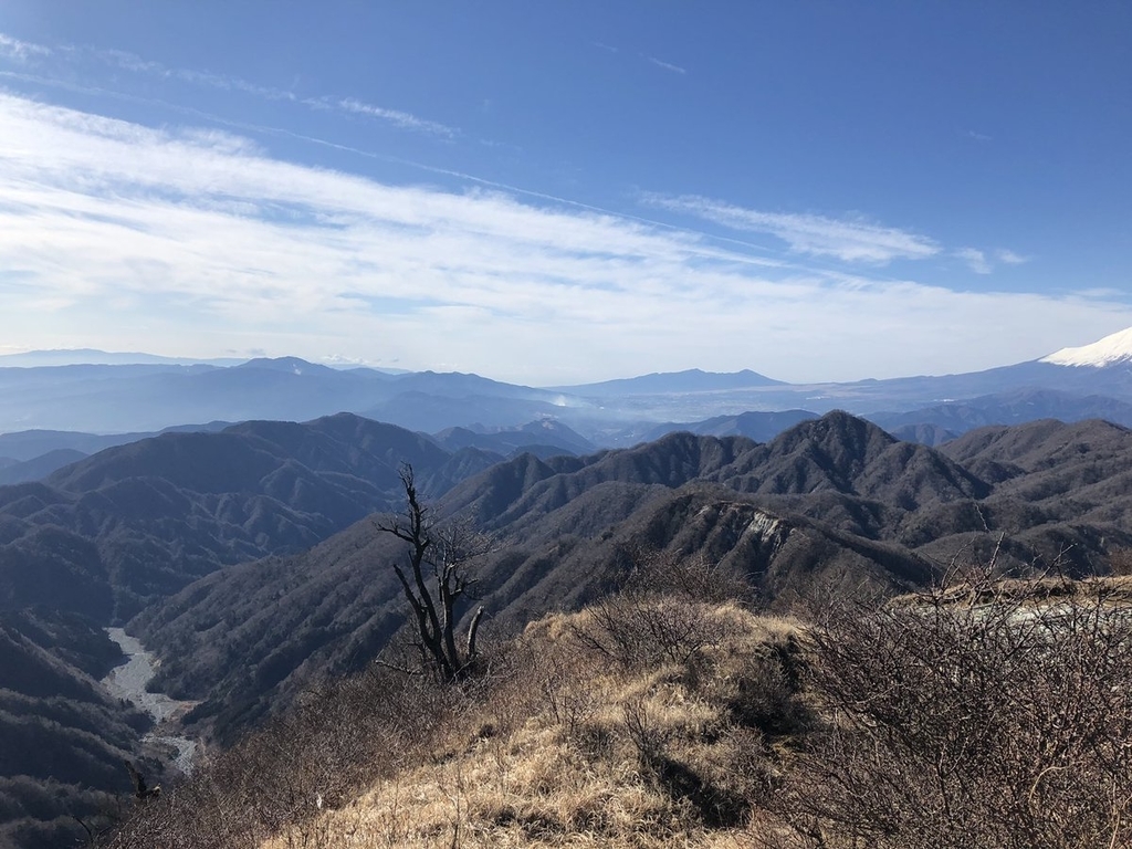 f:id:akiranngo:20190113013604j:plain f:id:akiranngo:20190113013604j:plain