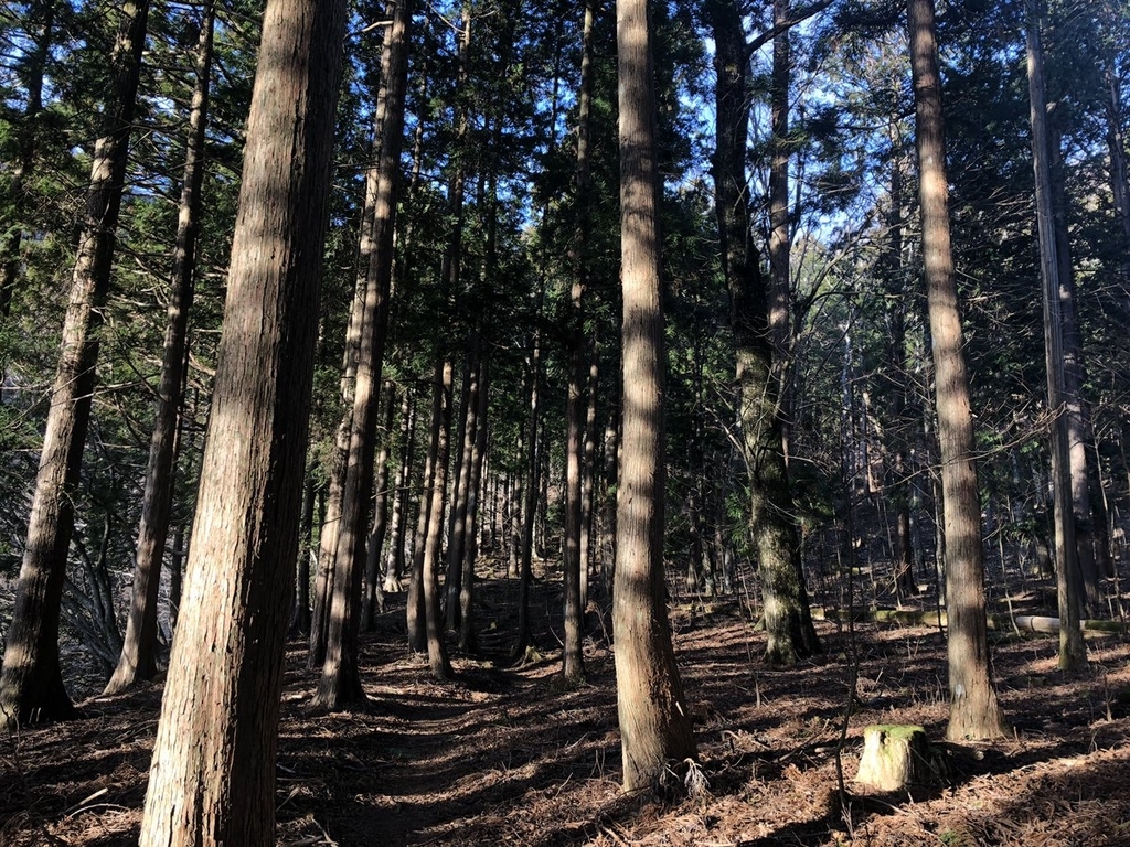 f:id:akiranngo:20190113093306j:plain f:id:akiranngo:20190113093306j:plain