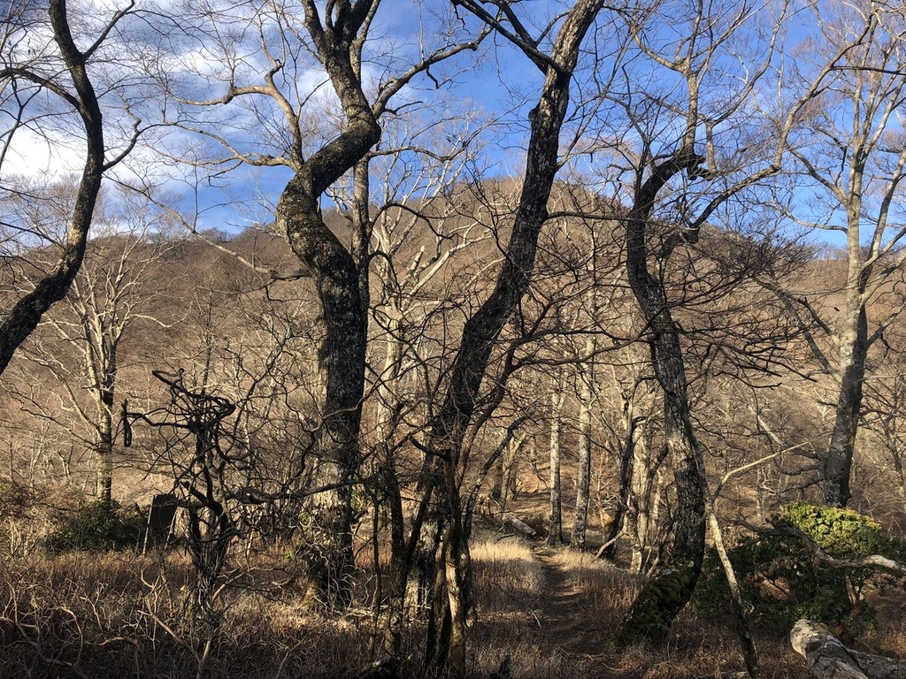 f:id:akiranngo:20190113093659j:plain f:id:akiranngo:20190113093659j:plain