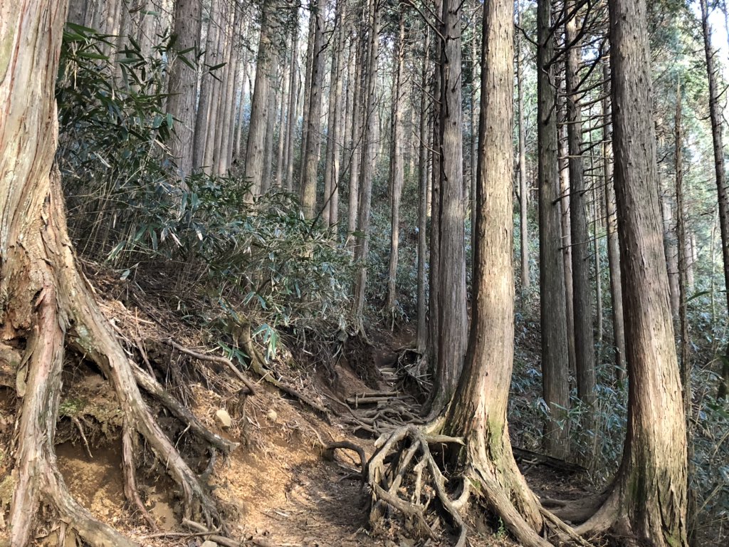 f:id:akiranngo:20190126215353j:plain f:id:akiranngo:20190126215353j:plain