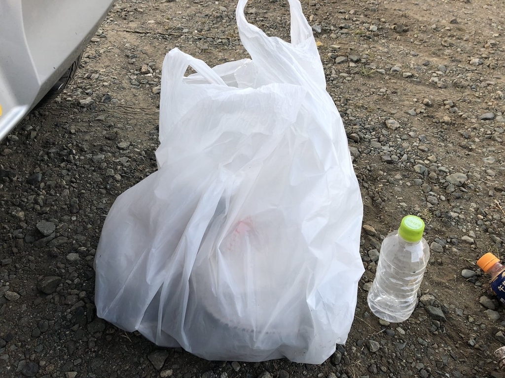 f:id:akiranngo:20190129194807j:plain