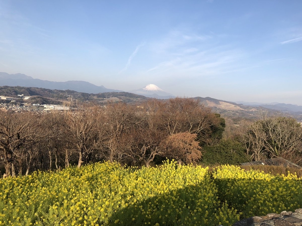 f:id:akiranngo:20190224175232j:plain
